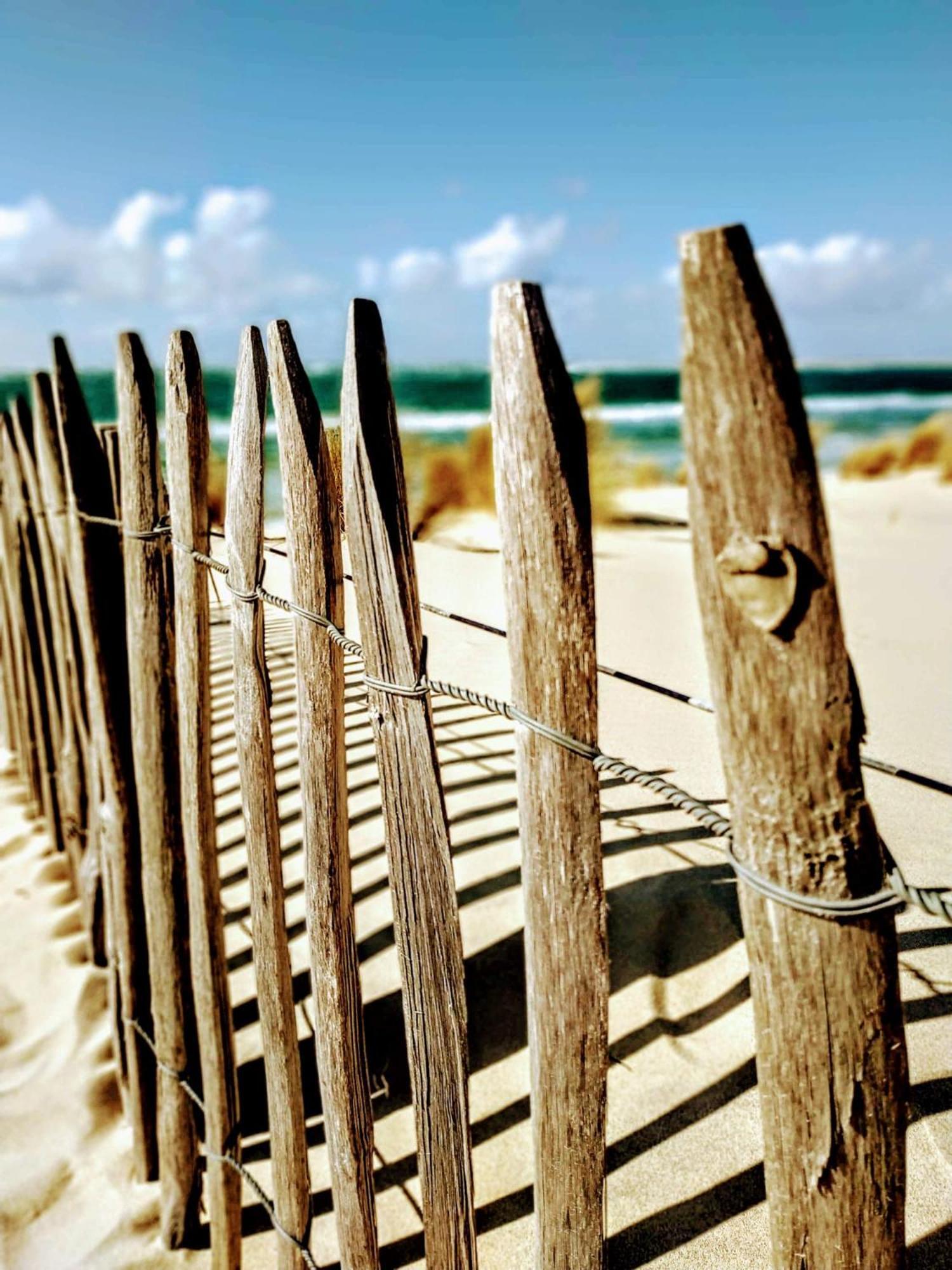 Charme & Confort- Les Cottages Du Bassin D'Arcachon- Petit-Dejeuner Sur Demande - Nuitee, Court Sejour, Semaine Gujan-Mestras Bagian luar foto